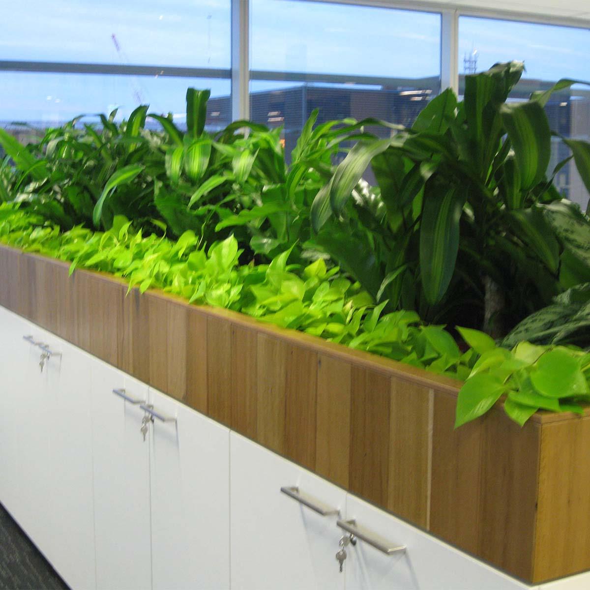 Cabinet planter
